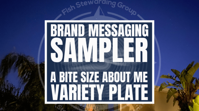 An image of the sky at night with a house and palm trees in the background. In the front the text title that reads brand messaging sampler. A bite size about me variety plate.