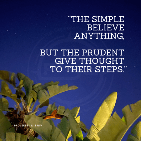 In center is an FSG logo watermark over a blue night sky and some palm trees in the bottom and a quote in white text that is credited to Proverbs 14:15 NIV in a small font on the bottom and in the upper right center the quote reads, “The simple believe anything, but the prudent give thought to their steps.” from the Strategic messaging and optics quotes blog.