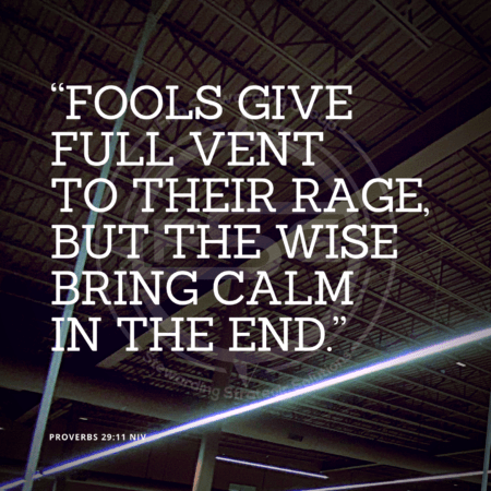 A quote graphic with a ceiling of a store with some long lights across it. In center is an FSG logo watermark and a quote in white text that is credited to Proverbs 29:11 in a small font on the bottom left and in the upper right center the quote reads “Fools give full vent to their rage, but the wise bring calm in the end.”