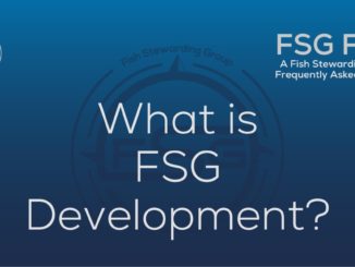What is FSG Development FAQ Graphic