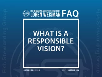 What is a responsible vision FAQ graphic