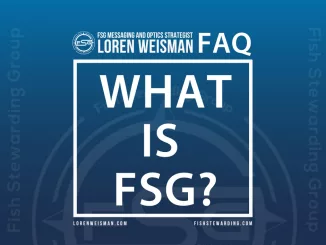 what is FSG FAQ graphic