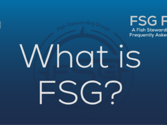 A frequently asked question featured image with the text that reads What is FSG?
