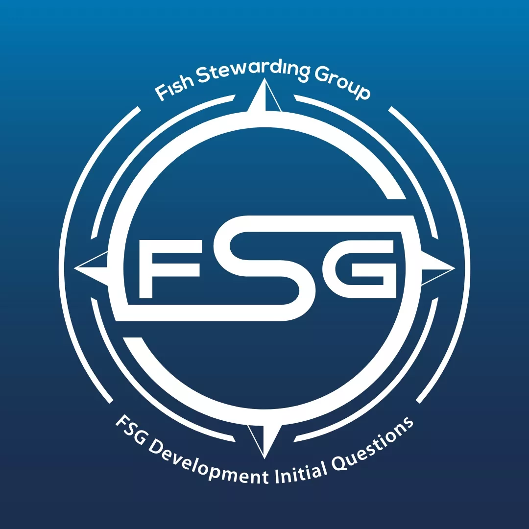 FSG development Initial Questions graphic