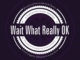 Wait what really ok podcast