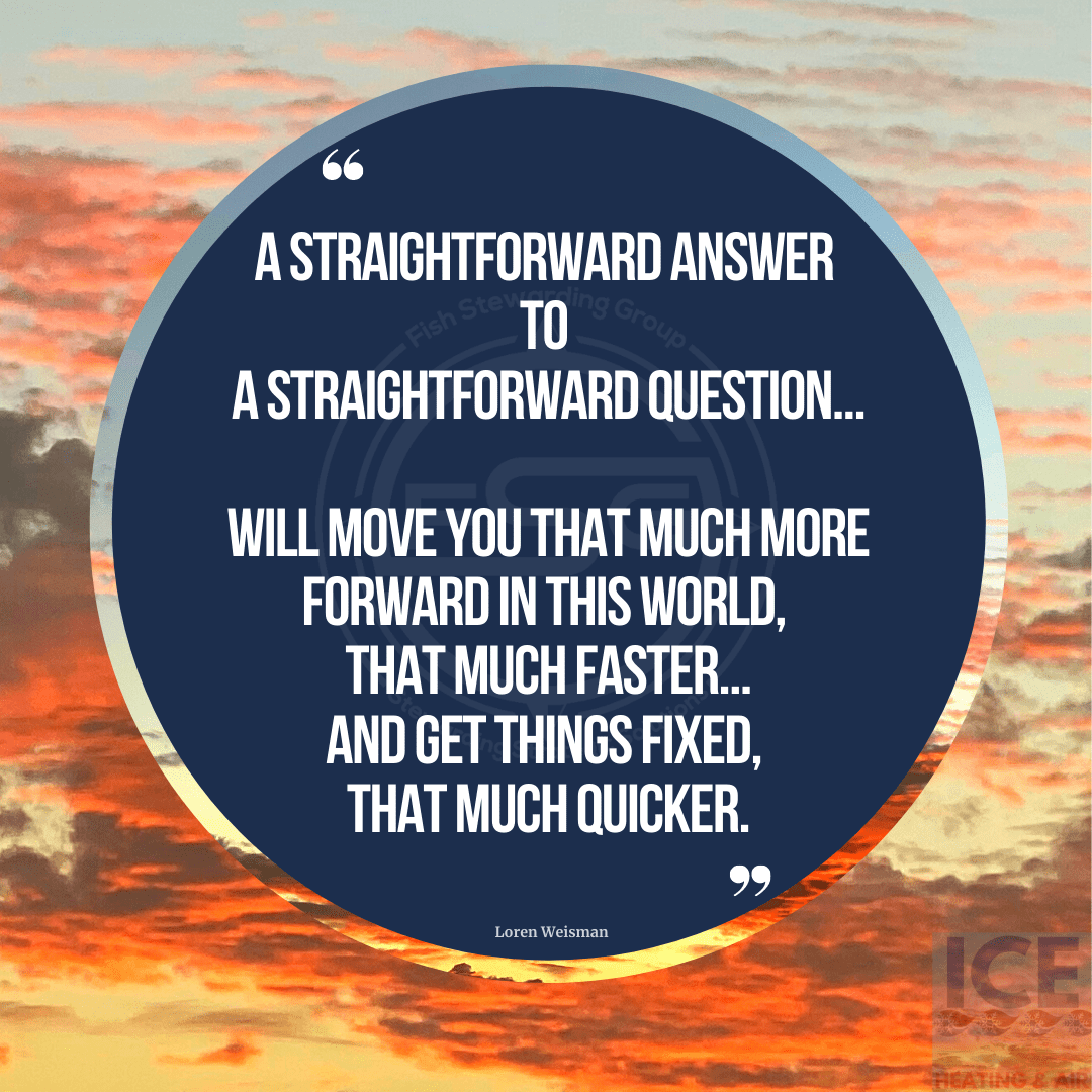 You might not have a book in you, a straight forward answer, loren weisman, quote